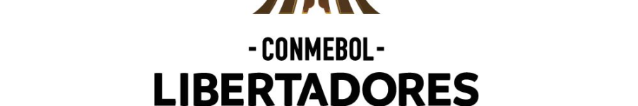 A Glimpse at the Libertadores: 2024 Tounament Recap