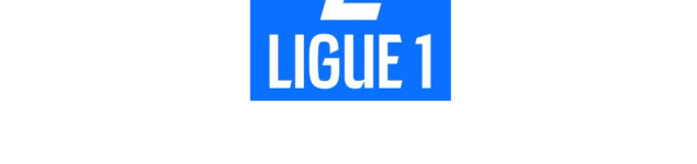 A Glimpse at the Ligue 1 2024/25: Mid-Season Recap